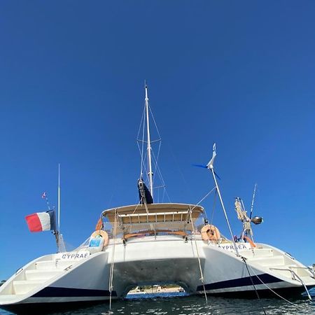 Catamaran Cypraea Hotel Terre-De-Haut Kültér fotó