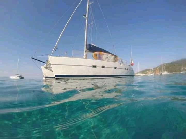 Catamaran Cypraea Hotel Terre-De-Haut Kültér fotó