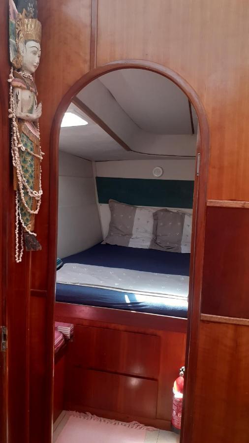 Catamaran Cypraea Hotel Terre-De-Haut Kültér fotó