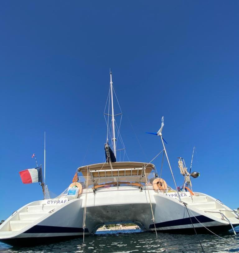 Catamaran Cypraea Hotel Terre-De-Haut Kültér fotó