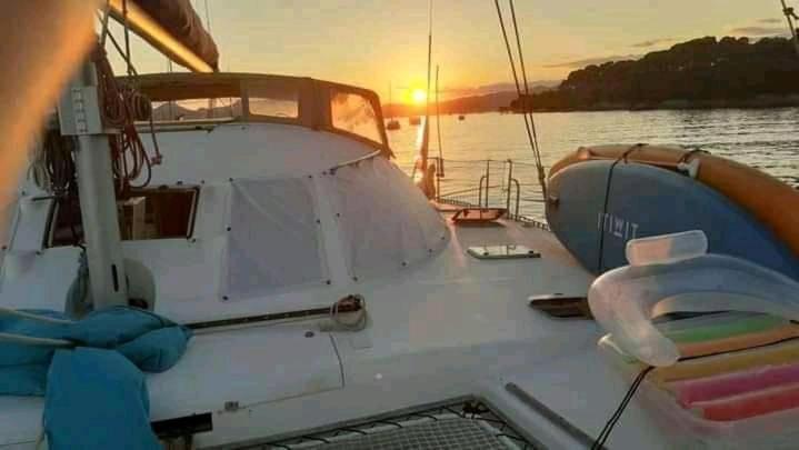 Catamaran Cypraea Hotel Terre-De-Haut Kültér fotó